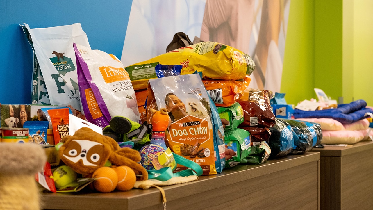 Marana greenhouse organizes donation drive for Humane Society of